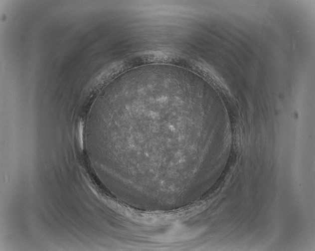 X0000085260022200703161415