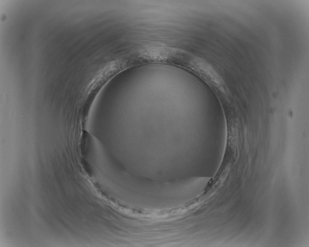 X0000085260023200703161415