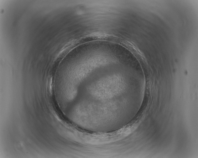 X0000085260024200703161415