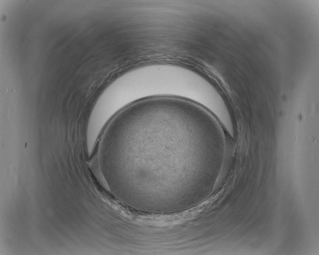 X0000085260025200703161415