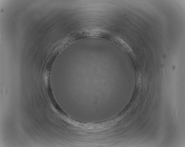 X0000085260026200703161415