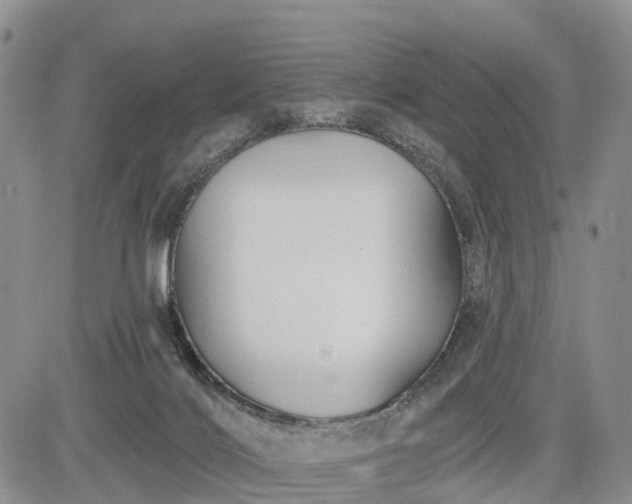 X0000085260028200703161415