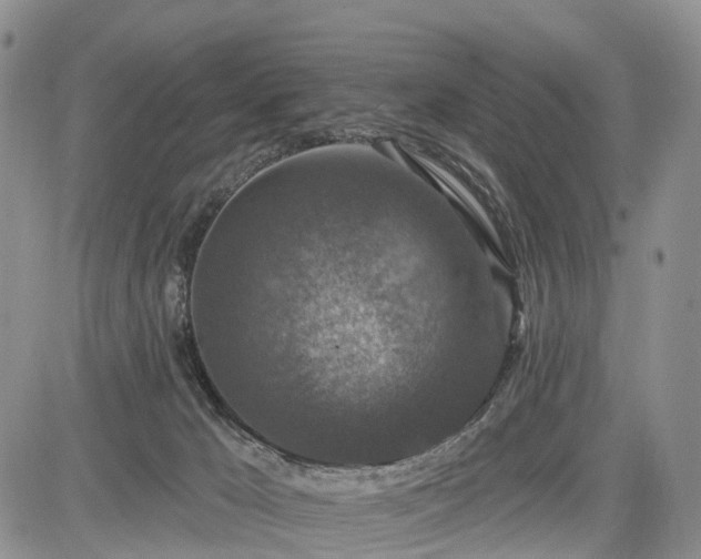 X0000085260029200703161415