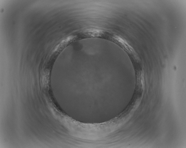 X0000085260030200703161415