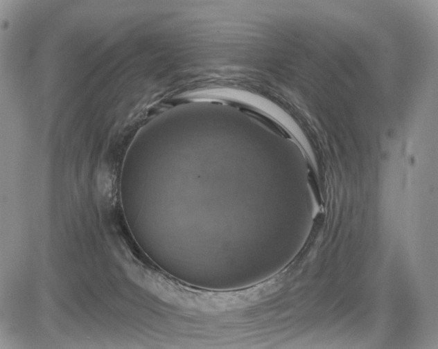 X0000085260031200703161415