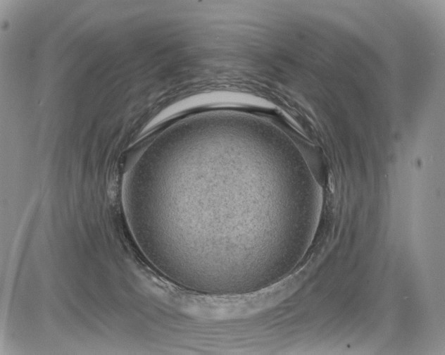 X0000085260033200703161415