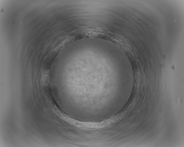 X0000085260034200703161415