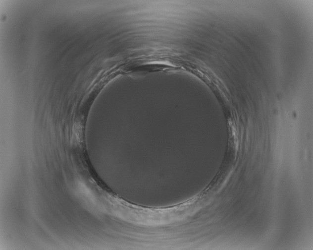 X0000085260035200703161415