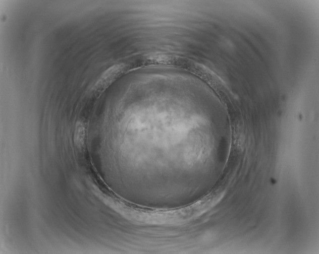 X0000085260036200703161415