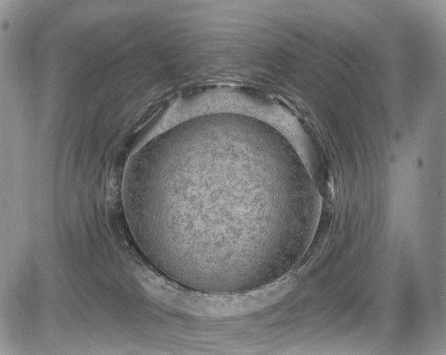 X0000085260037200703161415