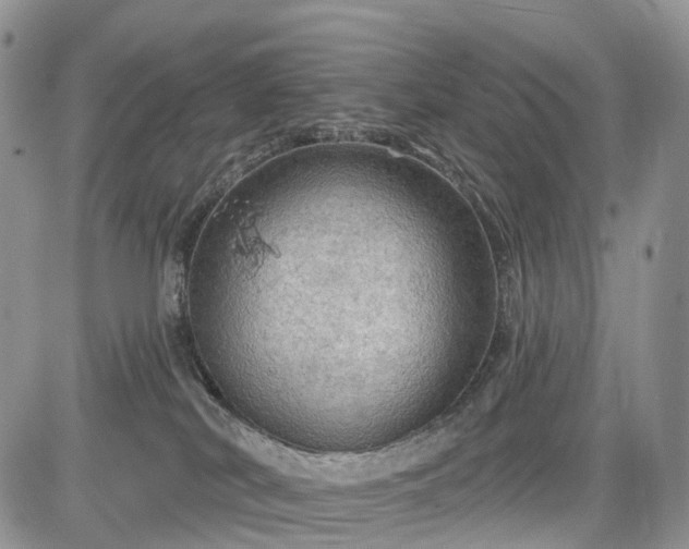 X0000085260038200703161415