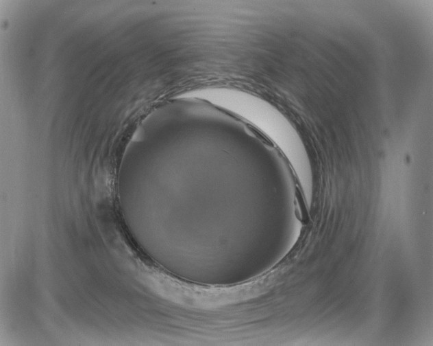 X0000085260039200703161415