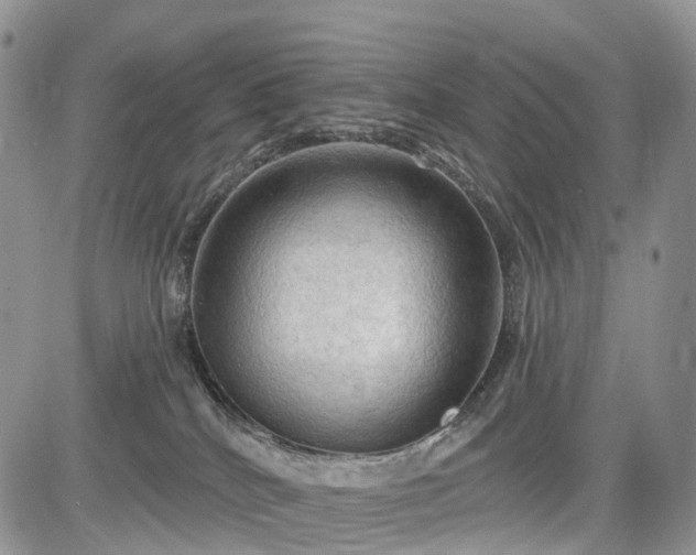 X0000085260040200703161415