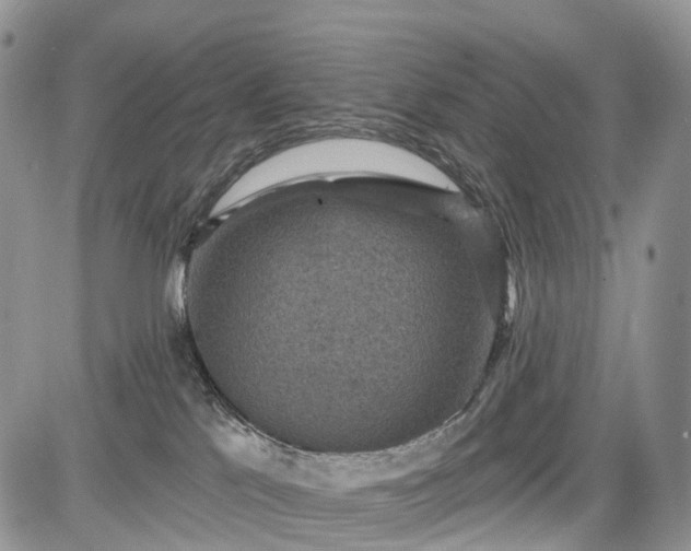 X0000085260041200703161415