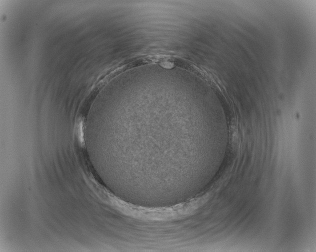 X0000085260042200703161415