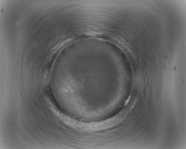 X0000085260043200703161415