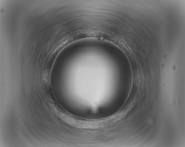 X0000085260044200703161415