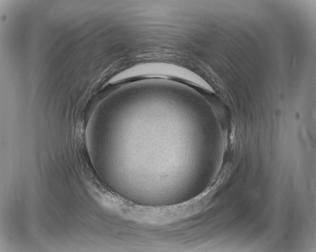 X0000085260045200703161415