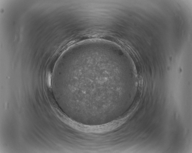 X0000085260046200703161415