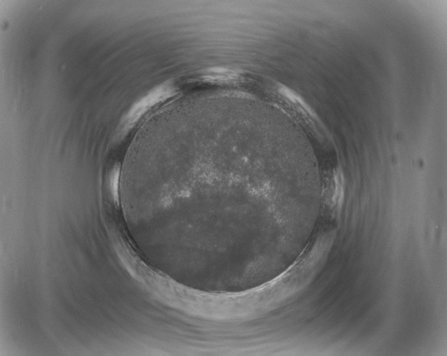 X0000085260047200703161415