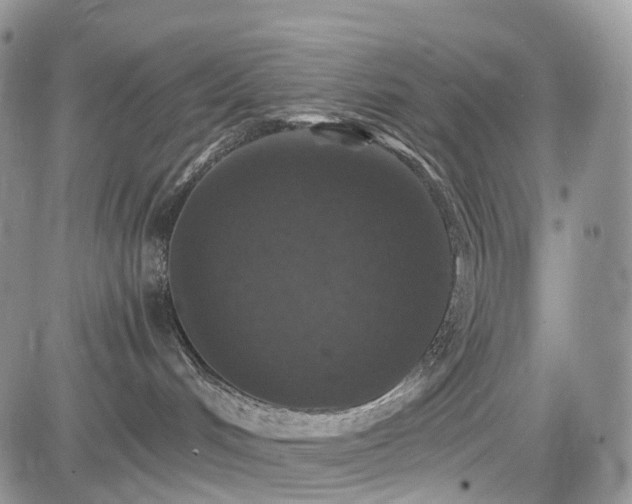 X0000085260048200703161415