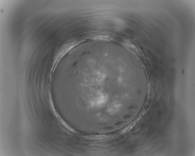 X0000085260049200703161414