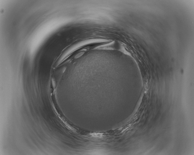 X0000085260052200703161414