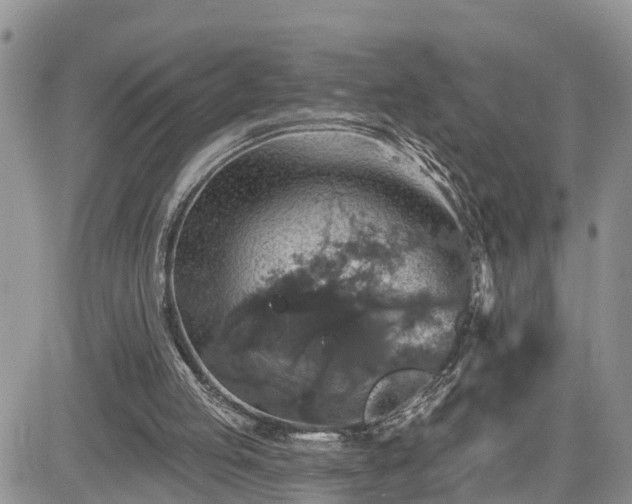 X0000085260053200703161414