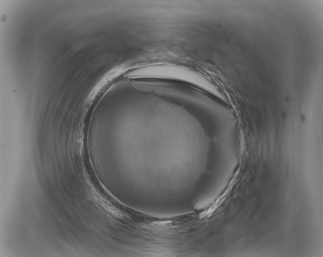 X0000085260054200703161414