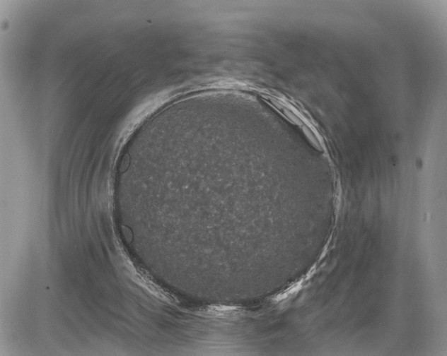 X0000085260055200703161414