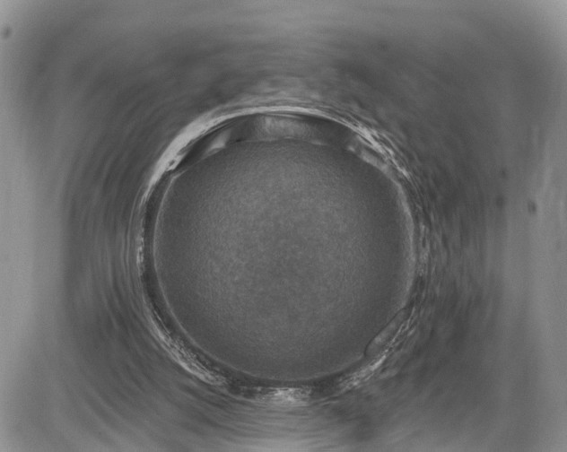 X0000085260056200703161414