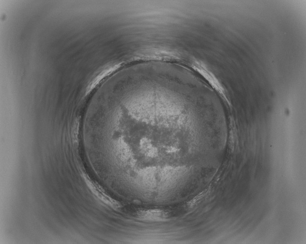 X0000085260058200703161414