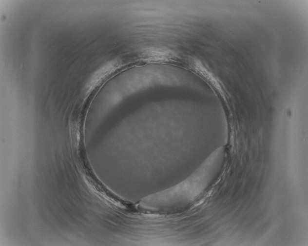 X0000085260059200703161414