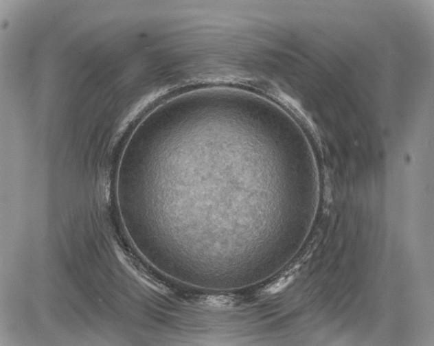 X0000085260060200703161414