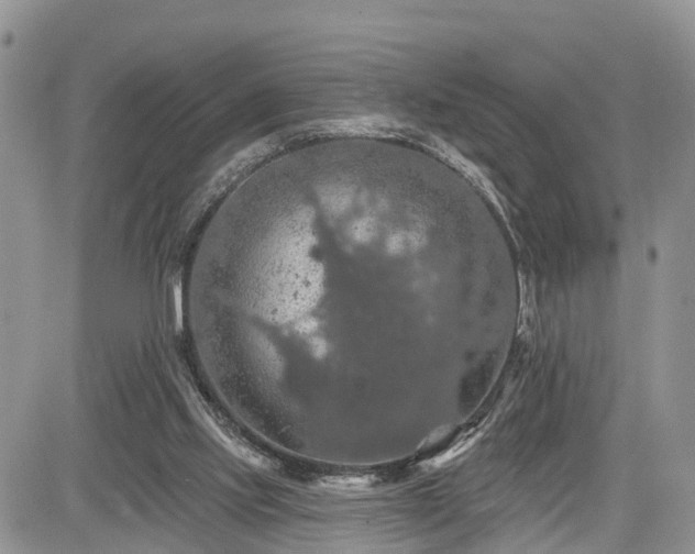 X0000085260061200703161414