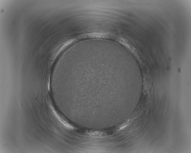 X0000085260062200703161414