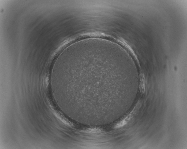 X0000085260063200703161414