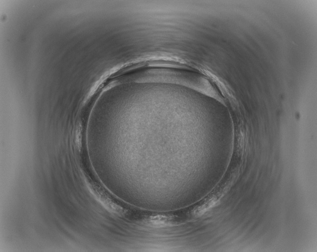 X0000085260064200703161414