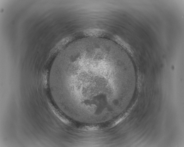 X0000085260065200703161415