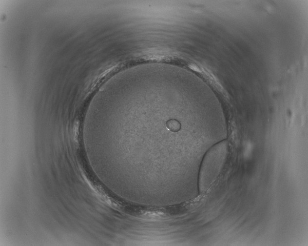 X0000085260066200703161415