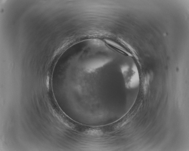 X0000085260067200703161415