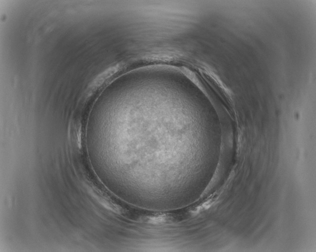 X0000085260068200703161415