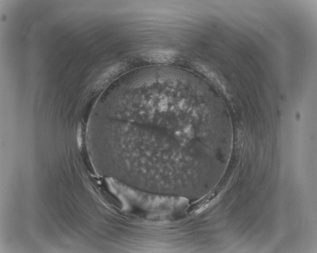 X0000085260069200703161415