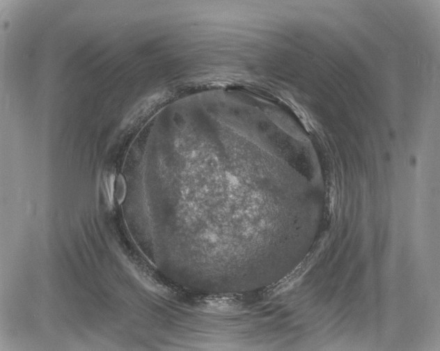 X0000085260070200703161415