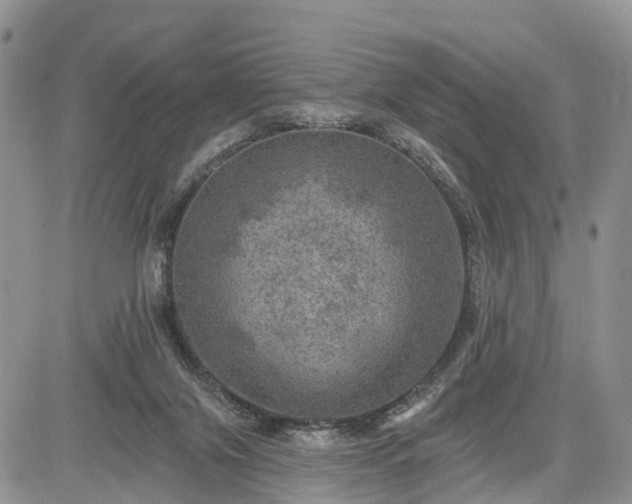 X0000085260071200703161415