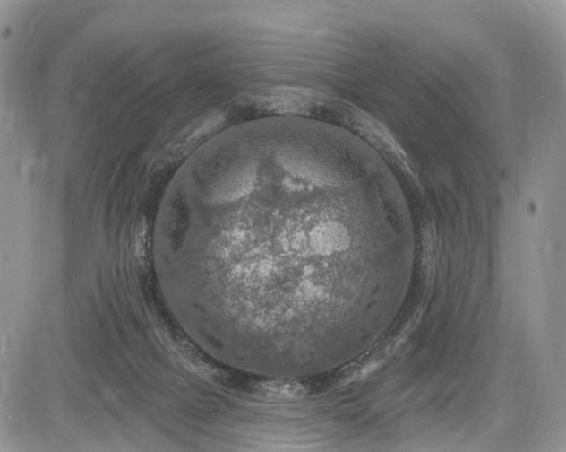 X0000085260073200703161415