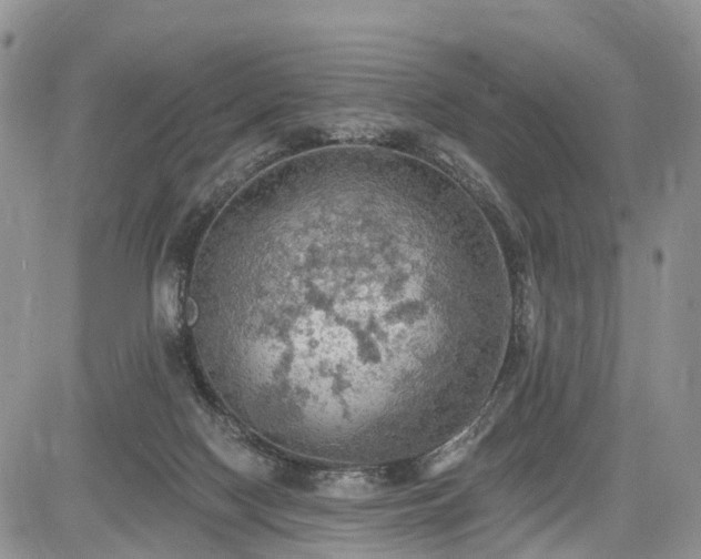 X0000085260074200703161415