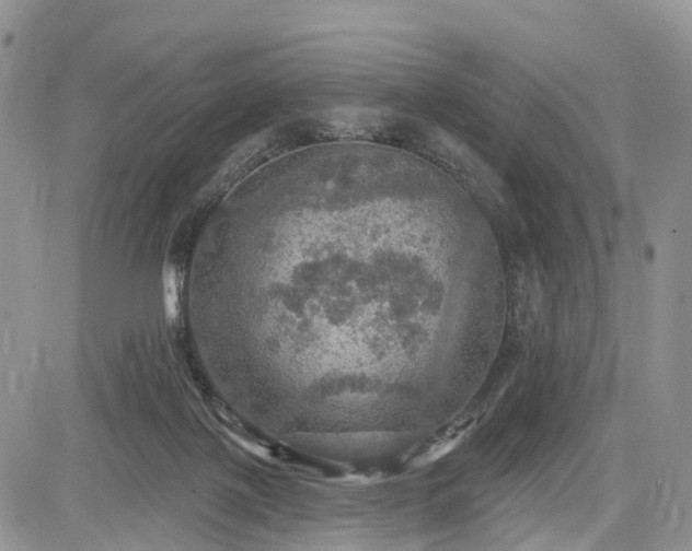 X0000085260075200703161415