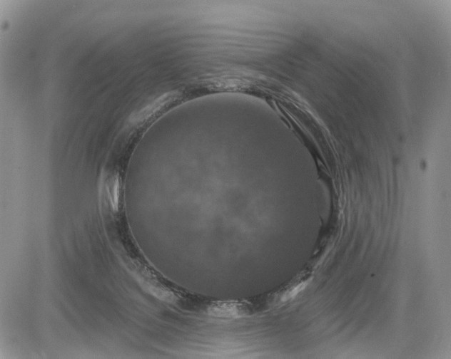 X0000085260076200703161415