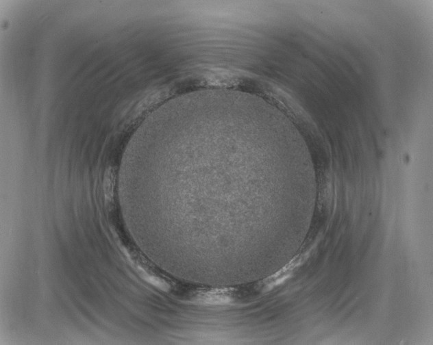 X0000085260078200703161415